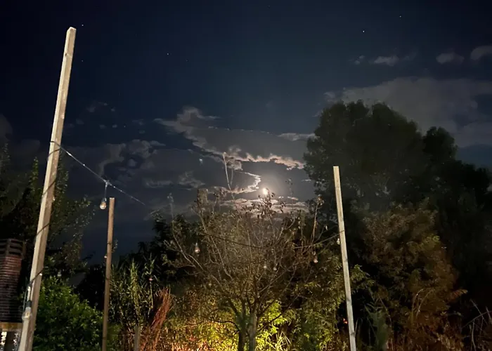 Willa T & I Firepit, Bbq & Grill